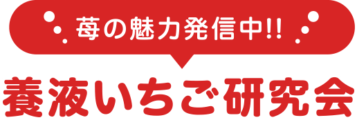 養液いちご研究会